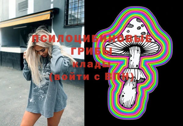 трава Армянск