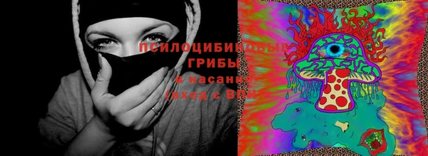 mdpv Баксан