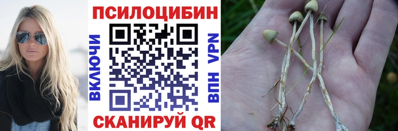 где купить наркоту Пугачёв Галлюциногенные грибы MAGIC MUSHROOMS
